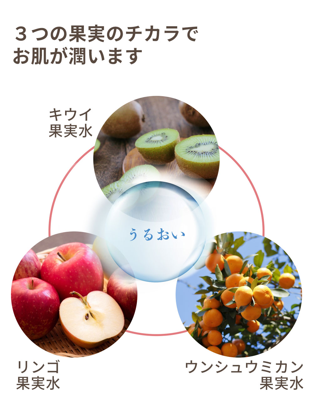 3つの果実のチカラでお肌が潤います キウイ果実水 リンゴ果実水 ウンシュウミカン果実水