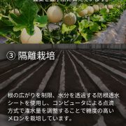 sc-2025-melon