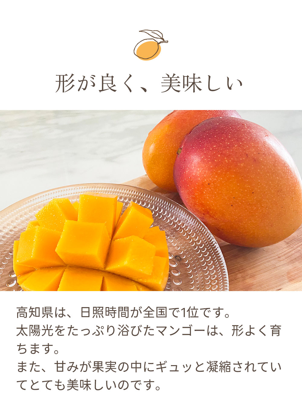 高知県南国市産完熟マンゴー（送料無料）