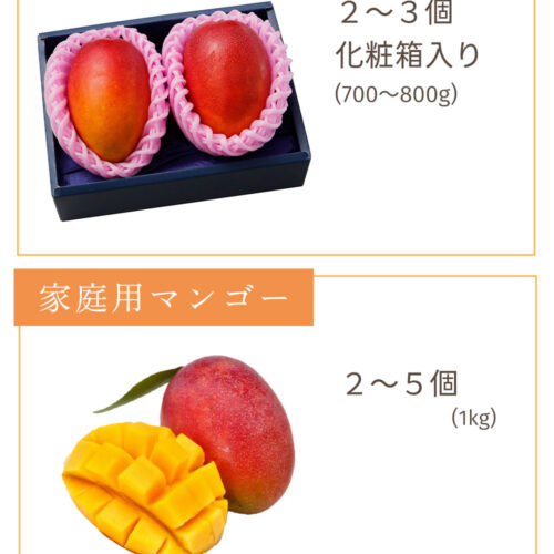sc-202306-mango