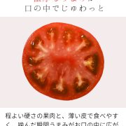 sc-202306-t01
