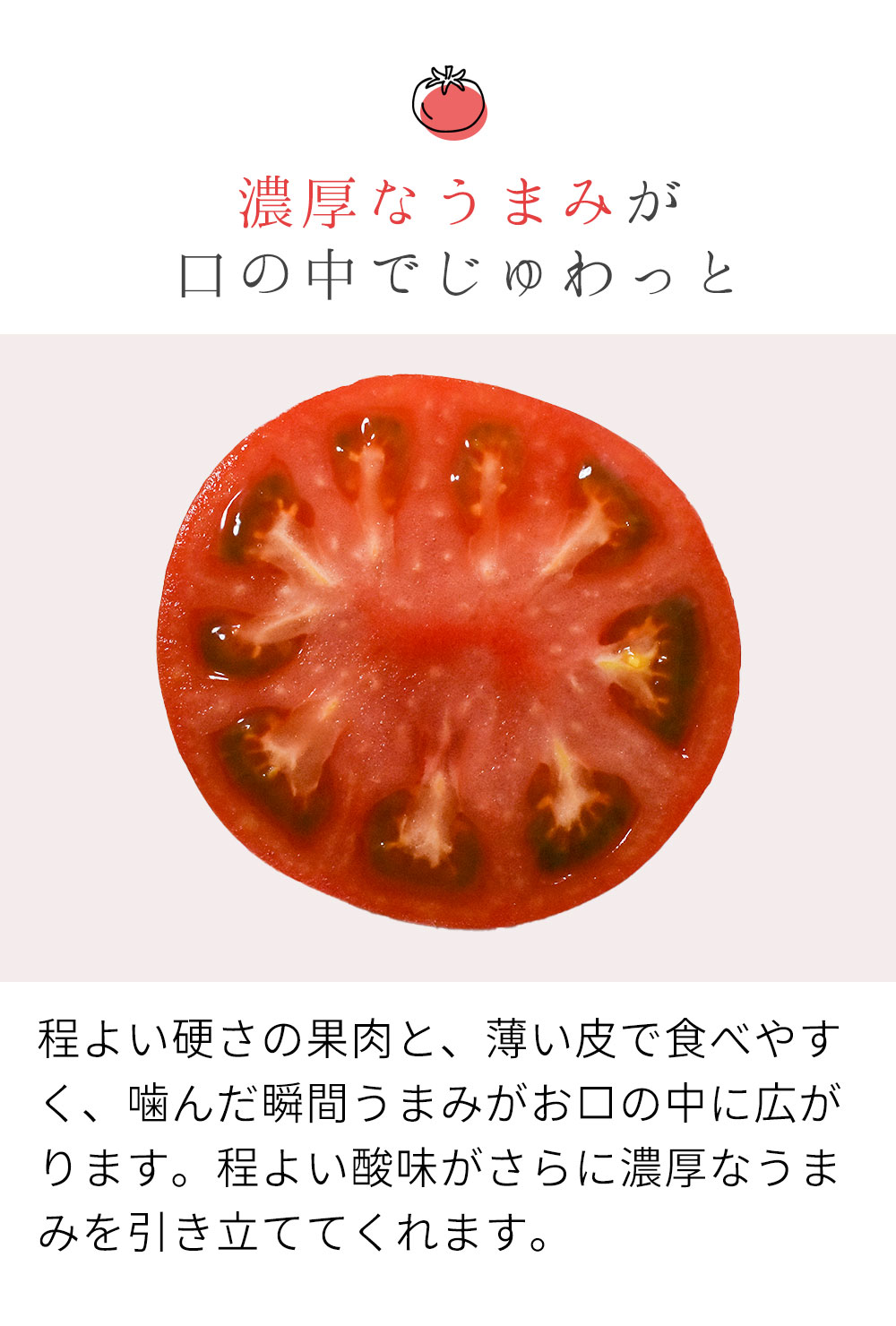 兵庫県丹波産トマト