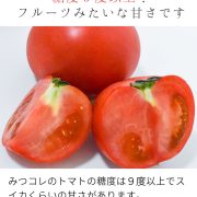 sc-202306-t01