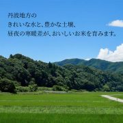 sc-202311-km01