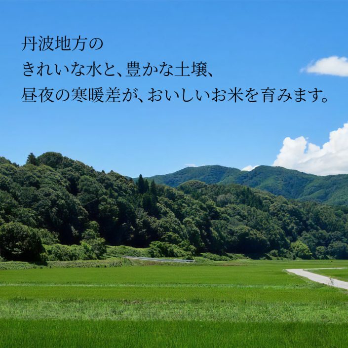 sc-202311-km01