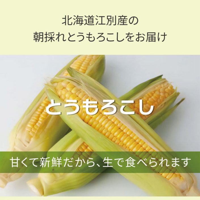 sc-202308-to01