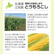 sc-202308-to01