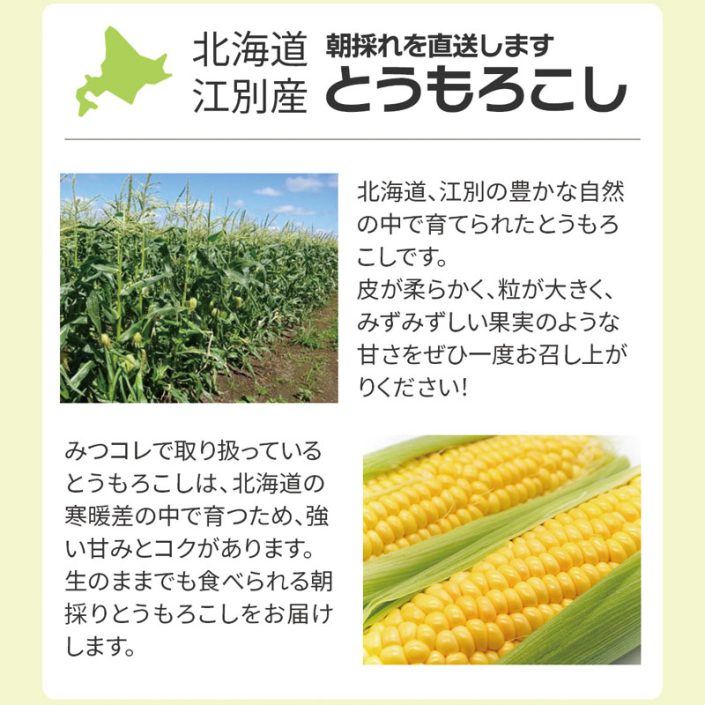 sc-202308-to01