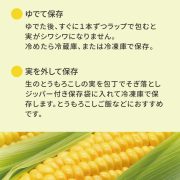 sc-202308-to01