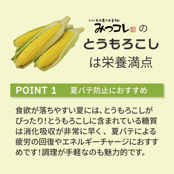sc-202308-to01