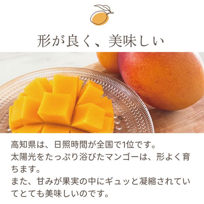 sc-2025-mango