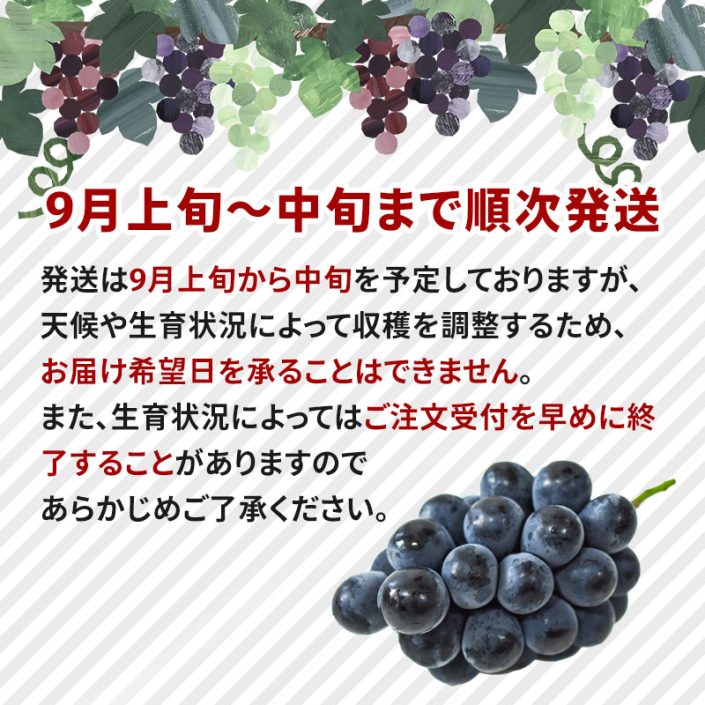 sc-202408-np01