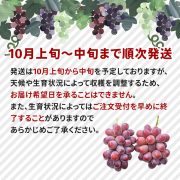 sc-202408-qr01