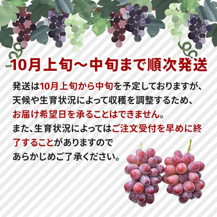 sc-202408-qr01
