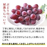 sc-202408-qr01