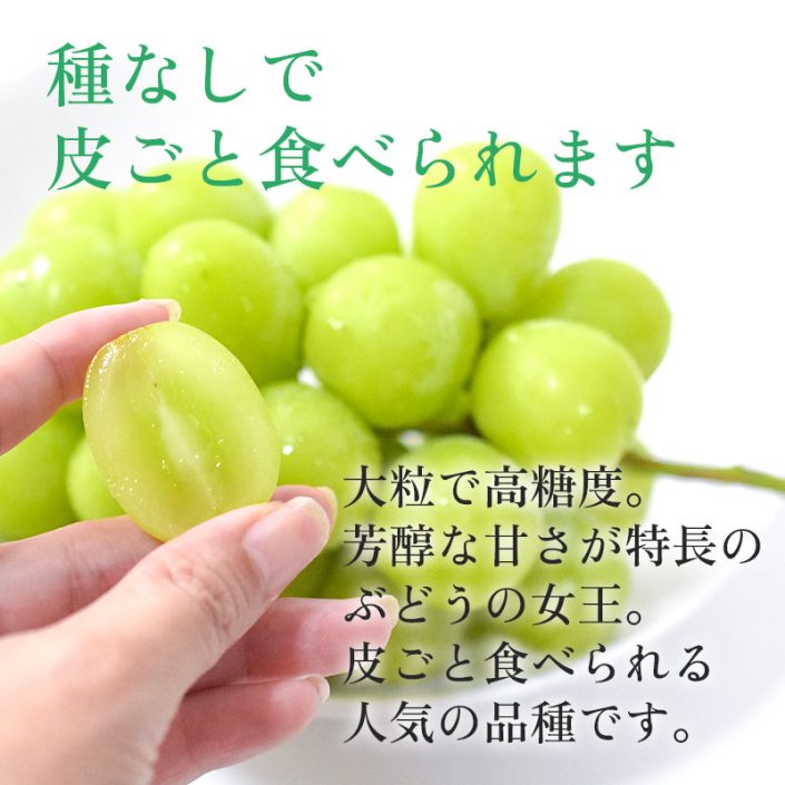 sc-202409-shm01