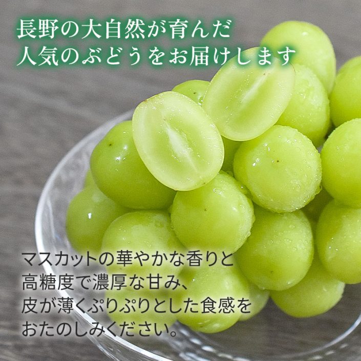 sc-202409-shm01