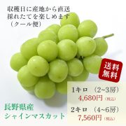 sc-202409-shm01