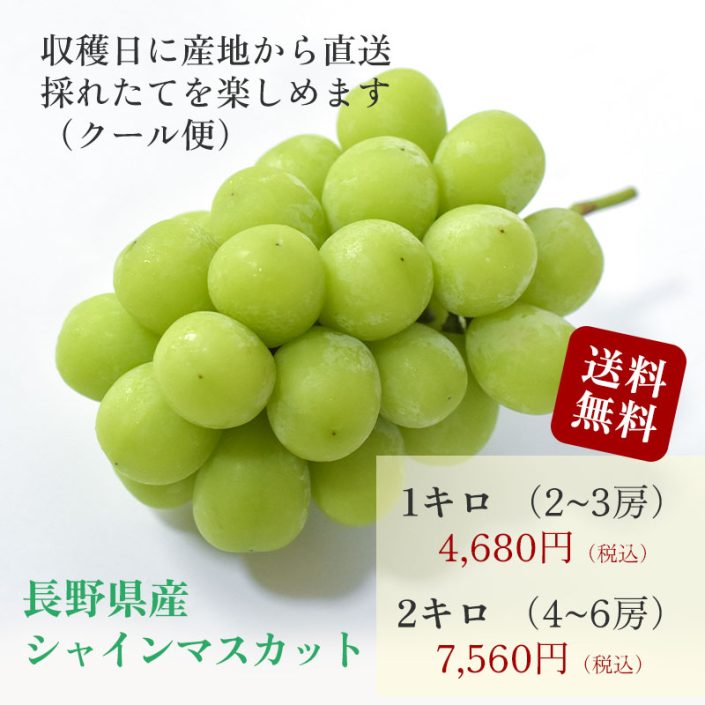 sc-202409-shm01