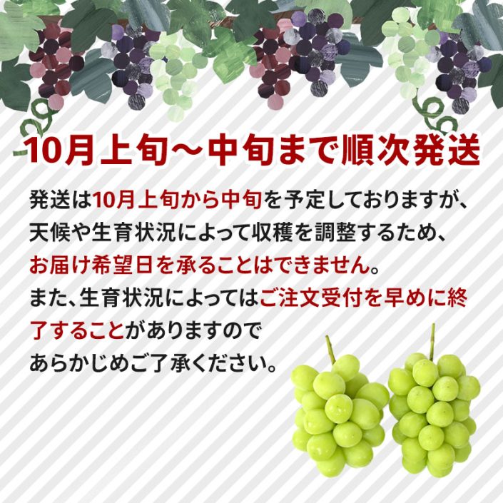 sc-202409-shm01
