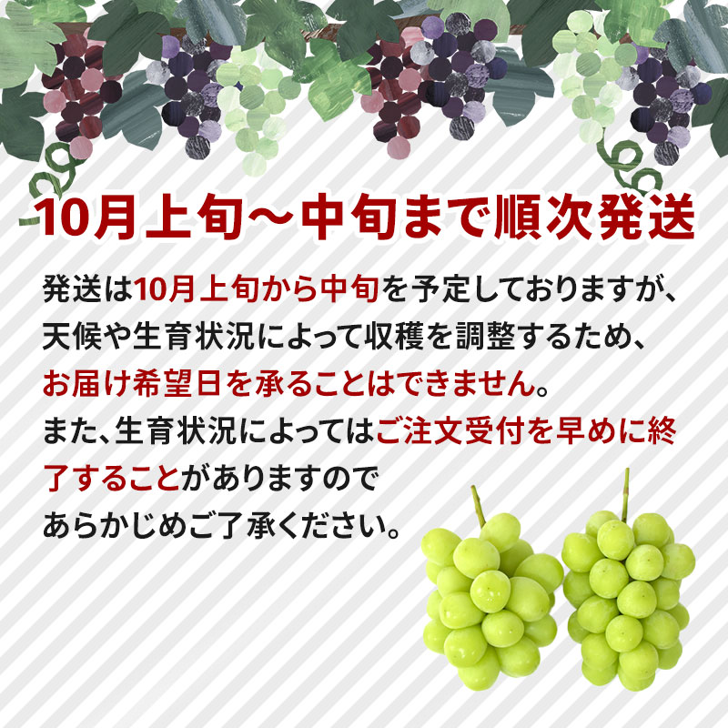 発送は10月上旬から末を予定しておりますが、天候や生育状況によって収穫を調整するため、お届け希望日を承ることはできません。 また、生育状況によってはご注文受付を早めに終了することがありますのであらかじめご了承ください。