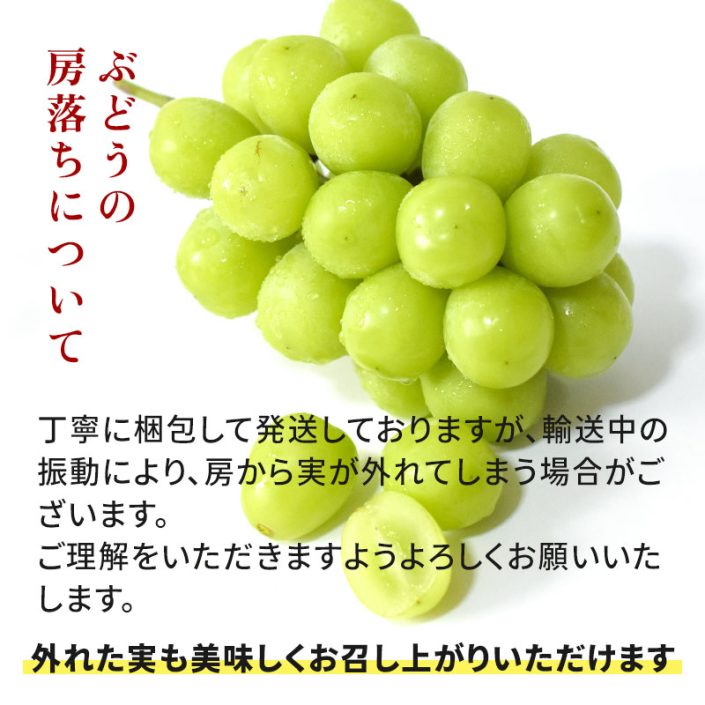 sc-202409-shm01