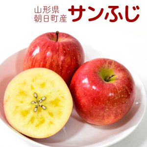 sc-202501-app01