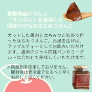 sc-202504-app-jam03