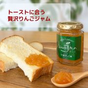 sc-202504-app-jam01