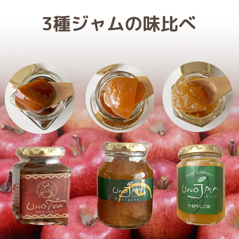 長野県産の「サンふじ」ドライりんご5袋入り