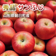 sc-202501-app01