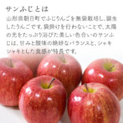 sc-202501-app01