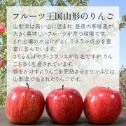 sc-202501-app01