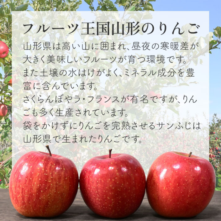 sc-202501-app01