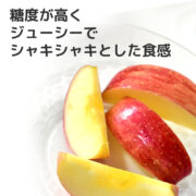 sc-202501-app01