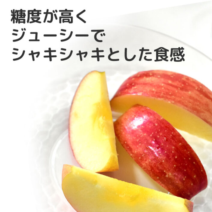 sc-202501-app01