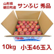 sc-202501-app01
