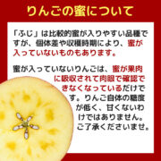sc-202501-app01