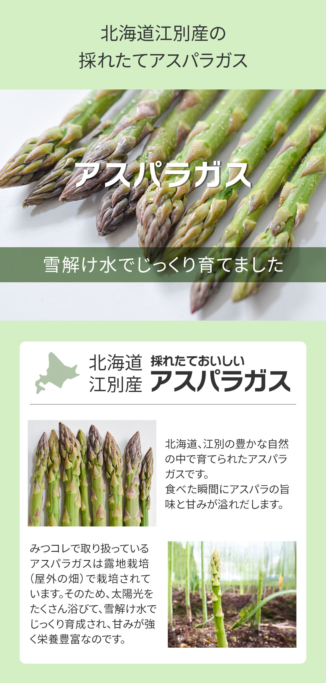 北海道産アスパラガス送料無料