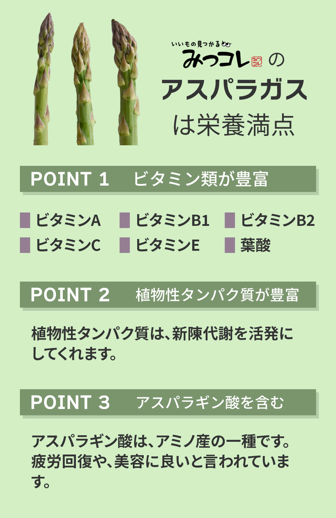 北海道産アスパラガス送料無料