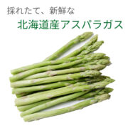sc-202304-a01