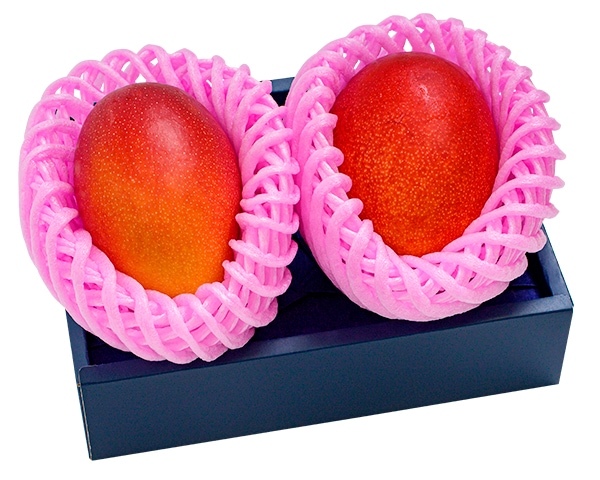 sc-2025-mango