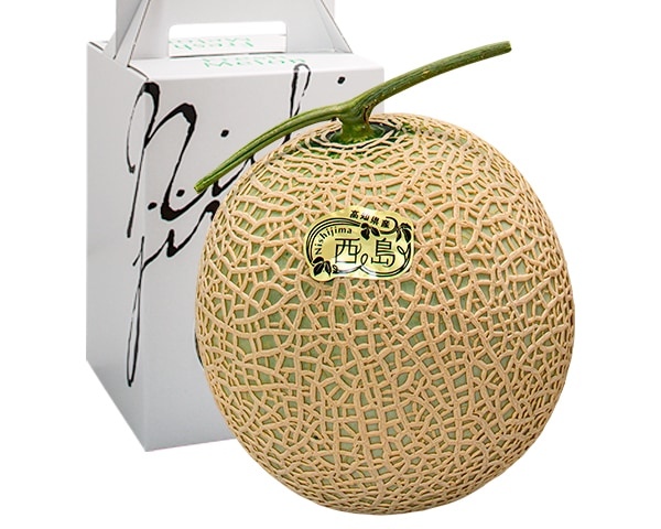 sc-2025-melon