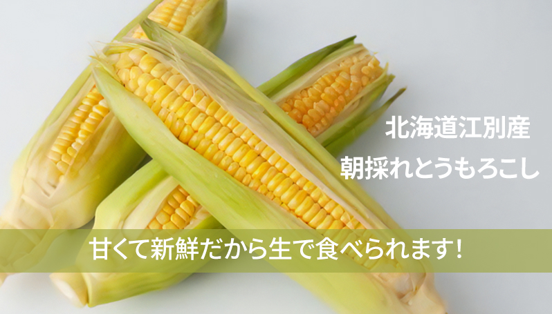 北海道江別産朝採れとうもろこし甘くて新鮮だから生で食べられます！