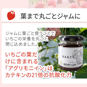 sc-202508-st_jam