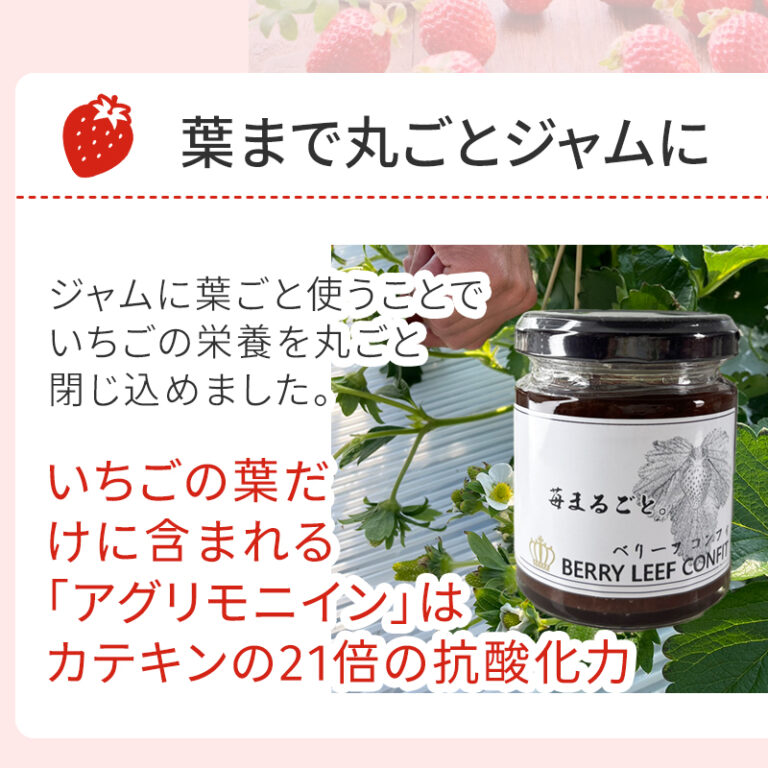 sc-202508-st_jam