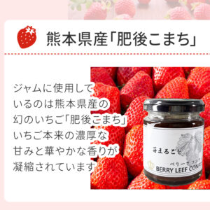 sc-202508-st_jam