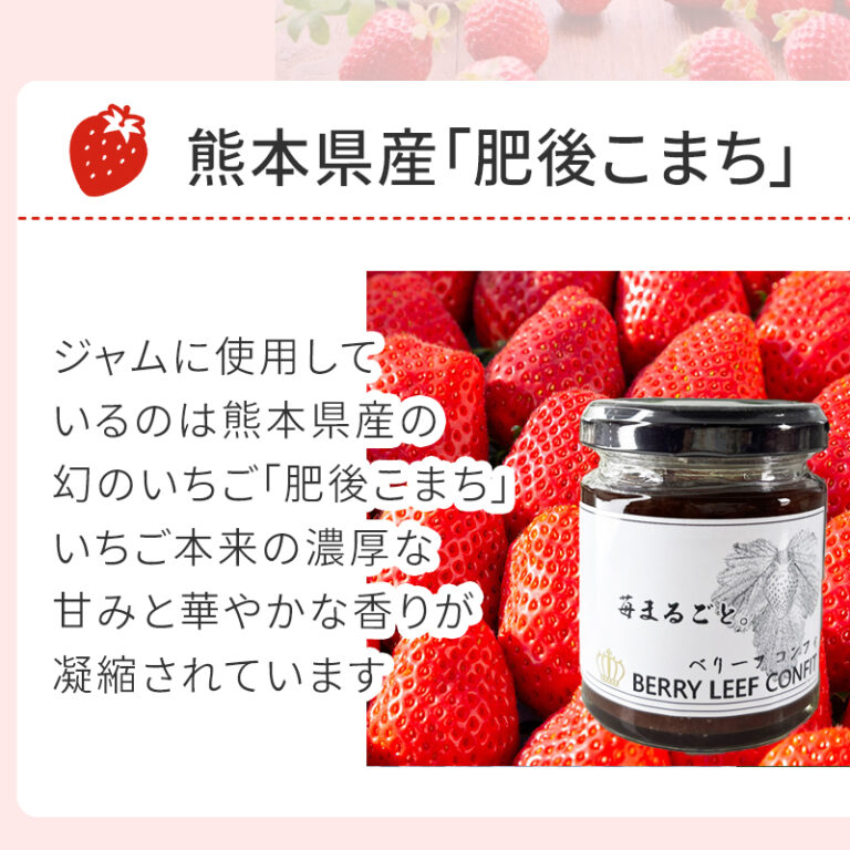 sc-202508-st_jam