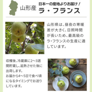 山形県は、昼夜の寒暖差が大きく、日照時間が長いため、最高級のラ・フランスの生産に適しています。収穫後、冷蔵庫に2～3週間貯蔵し、追熟させた後に出荷します。 お届から4～5日で食べ頃になるタイミングでお送りしています。
