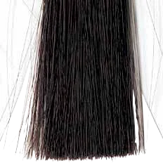 Nブラック 実際の毛色イメージ